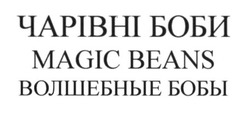 Свідоцтво торговельну марку № 282885 (заявка m201820173): чарівні боби; magic beans; волшебные бобы