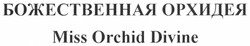 Свідоцтво торговельну марку № 157600 (заявка m201107766): божественная орхидея; miss orchid divine