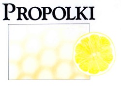 Заявка на торговельну марку № 20040505286: propolki