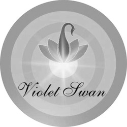 Заявка на торговельну марку № m202213423: violet swan