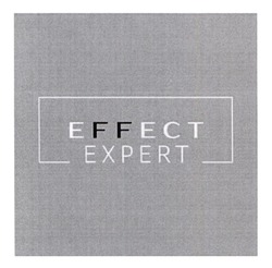 Заявка на торговельну марку № m202214079: effect expert