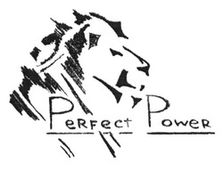 Свідоцтво торговельну марку № 243618 (заявка m201622974): perfect power