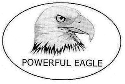Заявка на торговельну марку № m201103881: powerful eagle