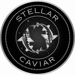 Заявка на торговельну марку № m202120023: stellar caviar