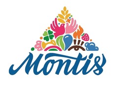 Свідоцтво торговельну марку № 307730 (заявка m202104143): montis