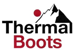 Свідоцтво торговельну марку № 304856 (заявка m201922150): thermal boots