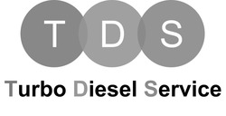 Свідоцтво торговельну марку № 340951 (заявка m202129052): tds; turbo diesel service
