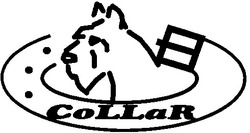 Свідоцтво торговельну марку № 30457 (заявка 2000125641): collar