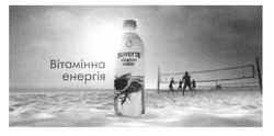 Свідоцтво торговельну марку № 300269 (заявка m201915107): вітамінна енергія; buvette vitamin water