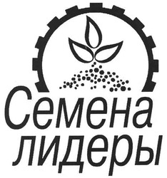 Свідоцтво торговельну марку № 112110 (заявка m200807155): семена лидеры