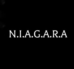 Заявка на торговельну марку № m202324106: niagara; n.i.a.g.a.r.a