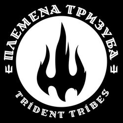 Заявка на торговельну марку № m202403153: trident tribes; племена тризуба