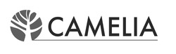 Свідоцтво торговельну марку № 265138 (заявка m201725045): camelia