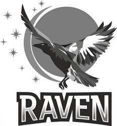 Заявка на торговельну марку № m202309888: raven