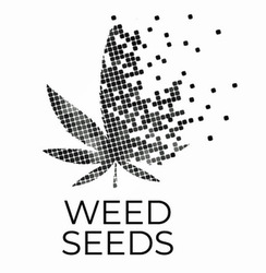 Заявка на торговельну марку № m202323879: weed seeds