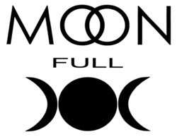 Заявка на торговельну марку № m202312077: moon full