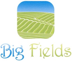 Свідоцтво торговельну марку № 172031 (заявка m201213371): big fields