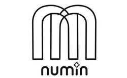 Свідоцтво торговельну марку № 309108 (заявка m201930150): numin