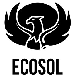 Свідоцтво торговельну марку № 231782 (заявка m201701567): ecosol