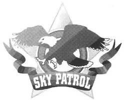 Свідоцтво торговельну марку № 141594 (заявка m201012718): sky patrol