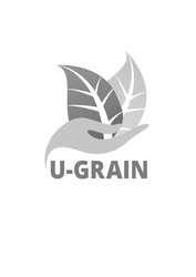 Свідоцтво торговельну марку № 246709 (заявка m201726362): u-grain; u grain
