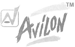 Свідоцтво торговельну марку № 38107 (заявка 2002010162): an; avilon
