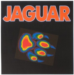 Заявка на торговельну марку № 2003055323: jaguar