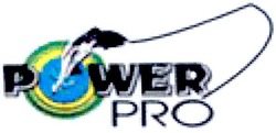 Свідоцтво торговельну марку № 163926 (заявка m201118796): power pro