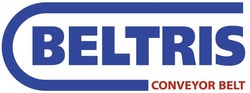 Свідоцтво торговельну марку № 299441 (заявка m201914661): beltris conveyor belt