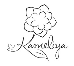 Свідоцтво торговельну марку № 241463 (заявка m201619097): kameliya