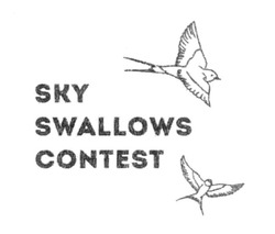 Свідоцтво торговельну марку № 308976 (заявка m201924493): sky swallows contest