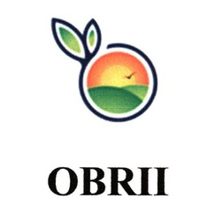 Свідоцтво торговельну марку № 325447 (заявка m202023797): obrii
