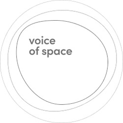 Заявка на торговельну марку № m202321899: voice of space