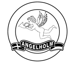 Свідоцтво торговельну марку № 227360 (заявка m201521314): angelholm