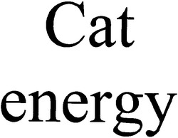 Заявка на торговельну марку № m200706637: cat energy