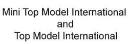 Свідоцтво торговельну марку № 216365 (заявка m201506379): mini top model international and top model international