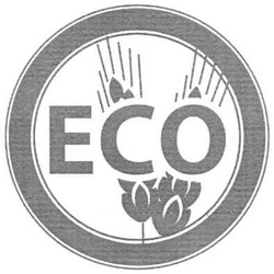 Заявка на торговельну марку № m201001990: есо; eco