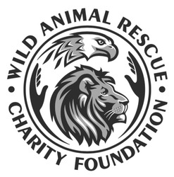 Заявка на торговельну марку № m202302744: charity foundation; wild animal rescue