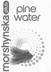Свідоцтво торговельну марку № 291225 (заявка m201900329): pine water; morshynska plus
