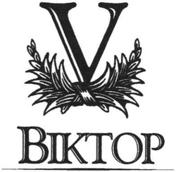 Свідоцтво торговельну марку № 61443 (заявка 20041111847): віктор; biktop; v