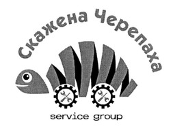 Заявка на торговельну марку № m202107951: скажена черепаха; service group