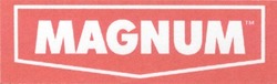 Свідоцтво торговельну марку № 43907 (заявка 2002086971): magnum