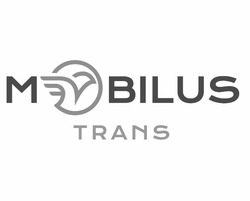 Свідоцтво торговельну марку № 302270 (заявка m202026109): mobilus trans