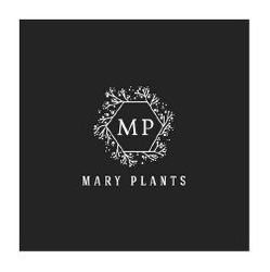 Свідоцтво торговельну марку № 344706 (заявка m202128326): мр; mp; mary plants