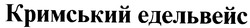 Свідоцтво торговельну марку № 22425 (заявка 98041563): кримський едельвейс
