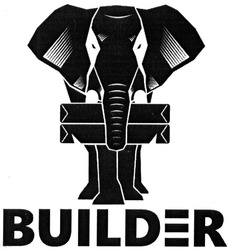Свідоцтво торговельну марку № 196401 (заявка m201318301): builder