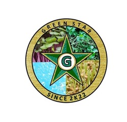 Свідоцтво торговельну марку № 347269 (заявка m202205142): 2к22; since 2k22; green star
