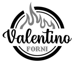 Заявка на торговельну марку № m202307145: valentino forni
