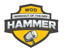 Заявка на торговельну марку № m202119425: hammer; wod; workout of the day