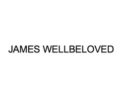 Свідоцтво торговельну марку № 338242 (заявка m202121475): james wellbeloved